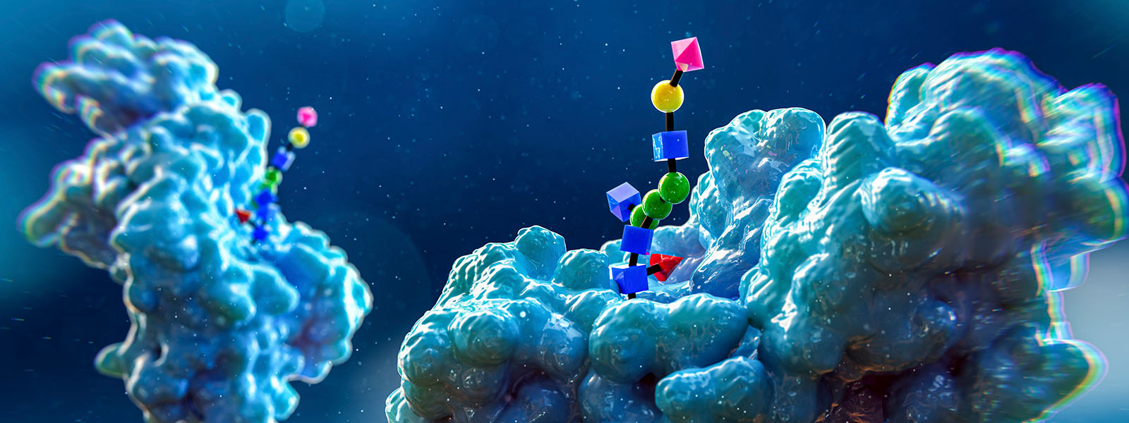 The glycome’s emerging role in health and disease